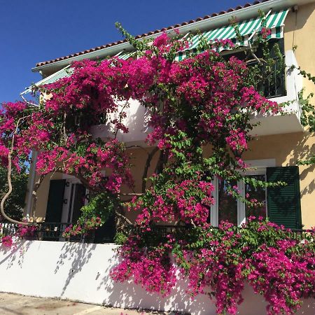 Casa Buganvilla Minia المظهر الخارجي الصورة