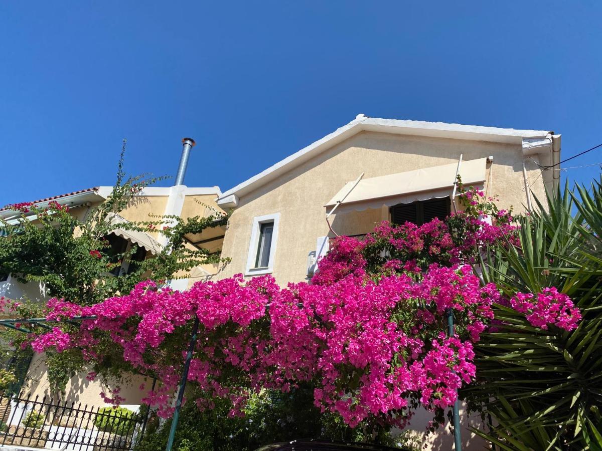 Casa Buganvilla Minia المظهر الخارجي الصورة