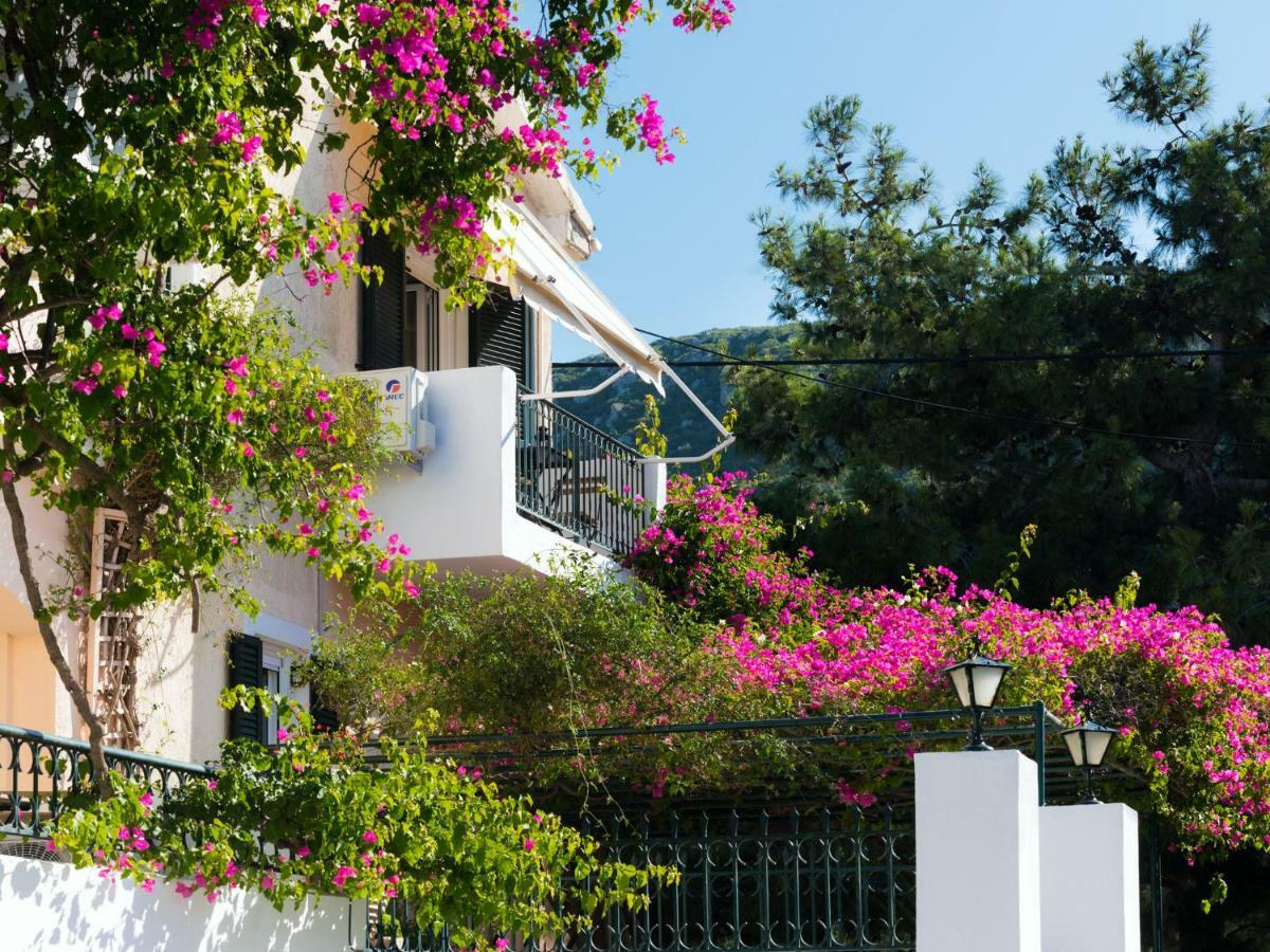Casa Buganvilla Minia المظهر الخارجي الصورة