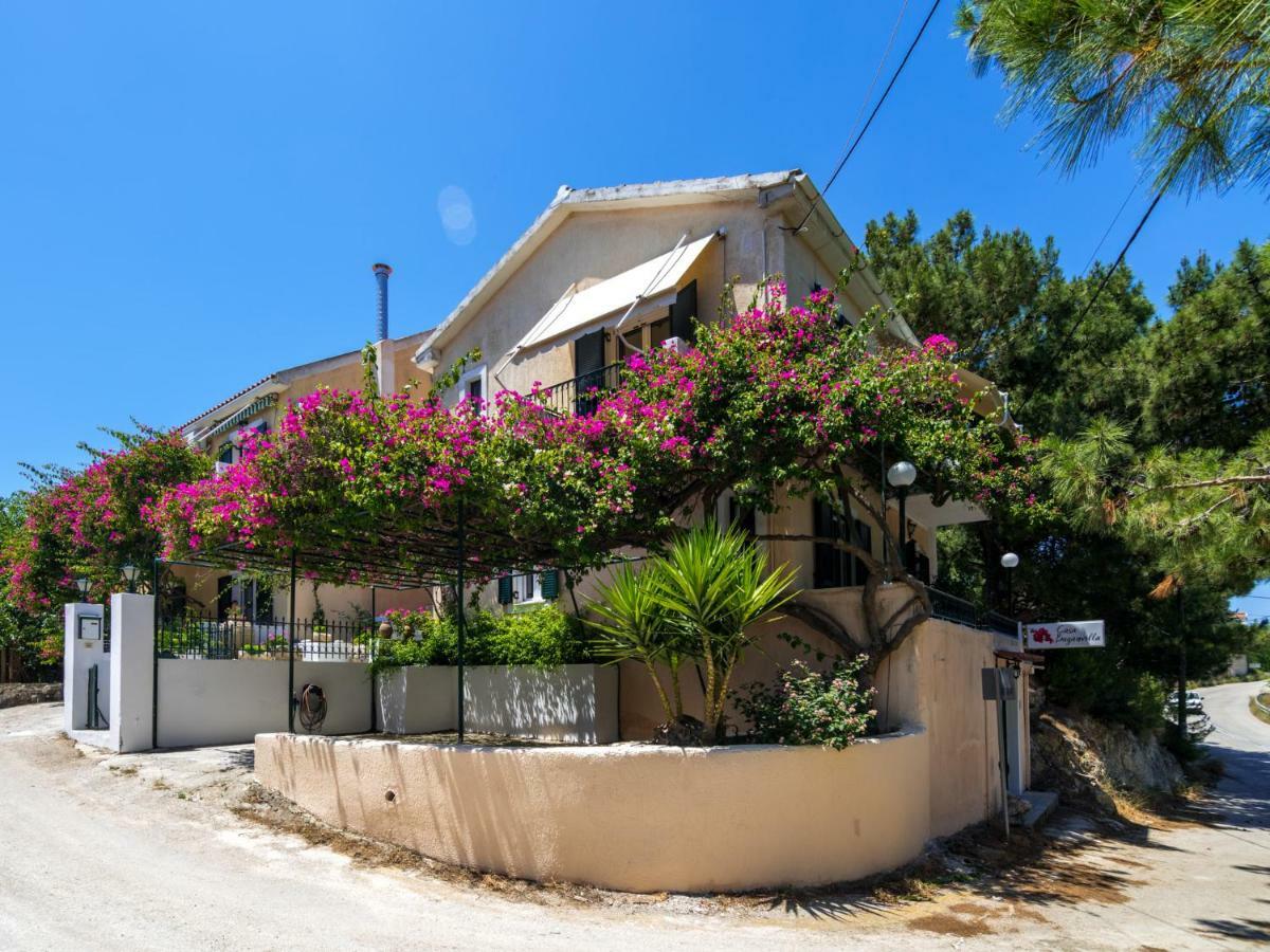 Casa Buganvilla Minia المظهر الخارجي الصورة