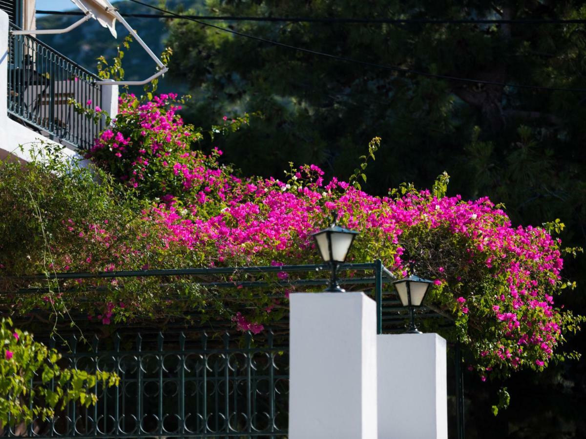Casa Buganvilla Minia المظهر الخارجي الصورة