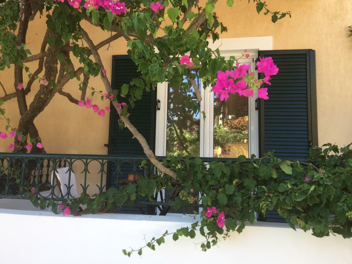 Casa Buganvilla Minia المظهر الخارجي الصورة