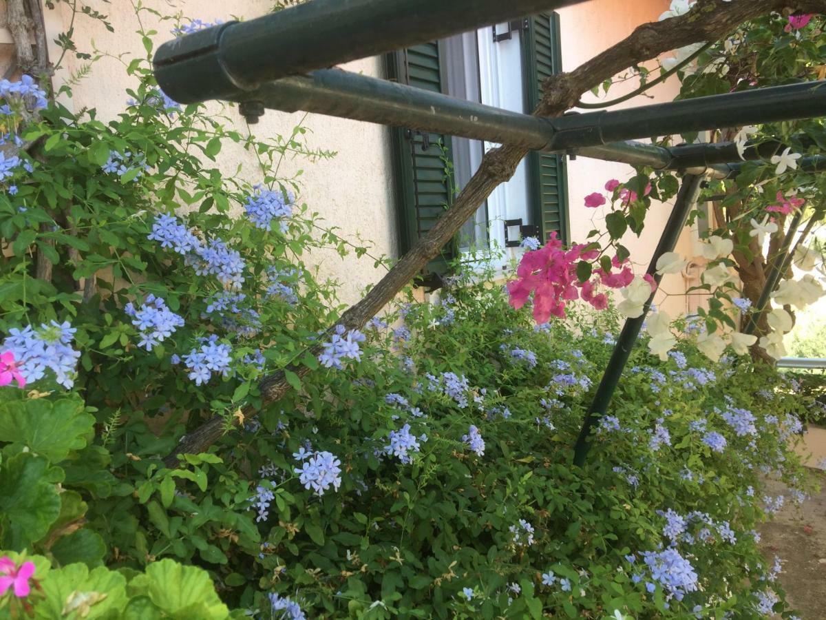 Casa Buganvilla Minia المظهر الخارجي الصورة