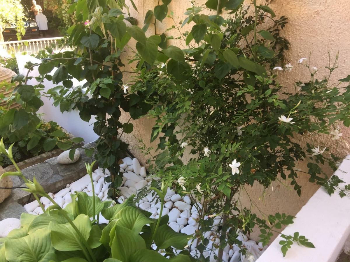 Casa Buganvilla Minia المظهر الخارجي الصورة