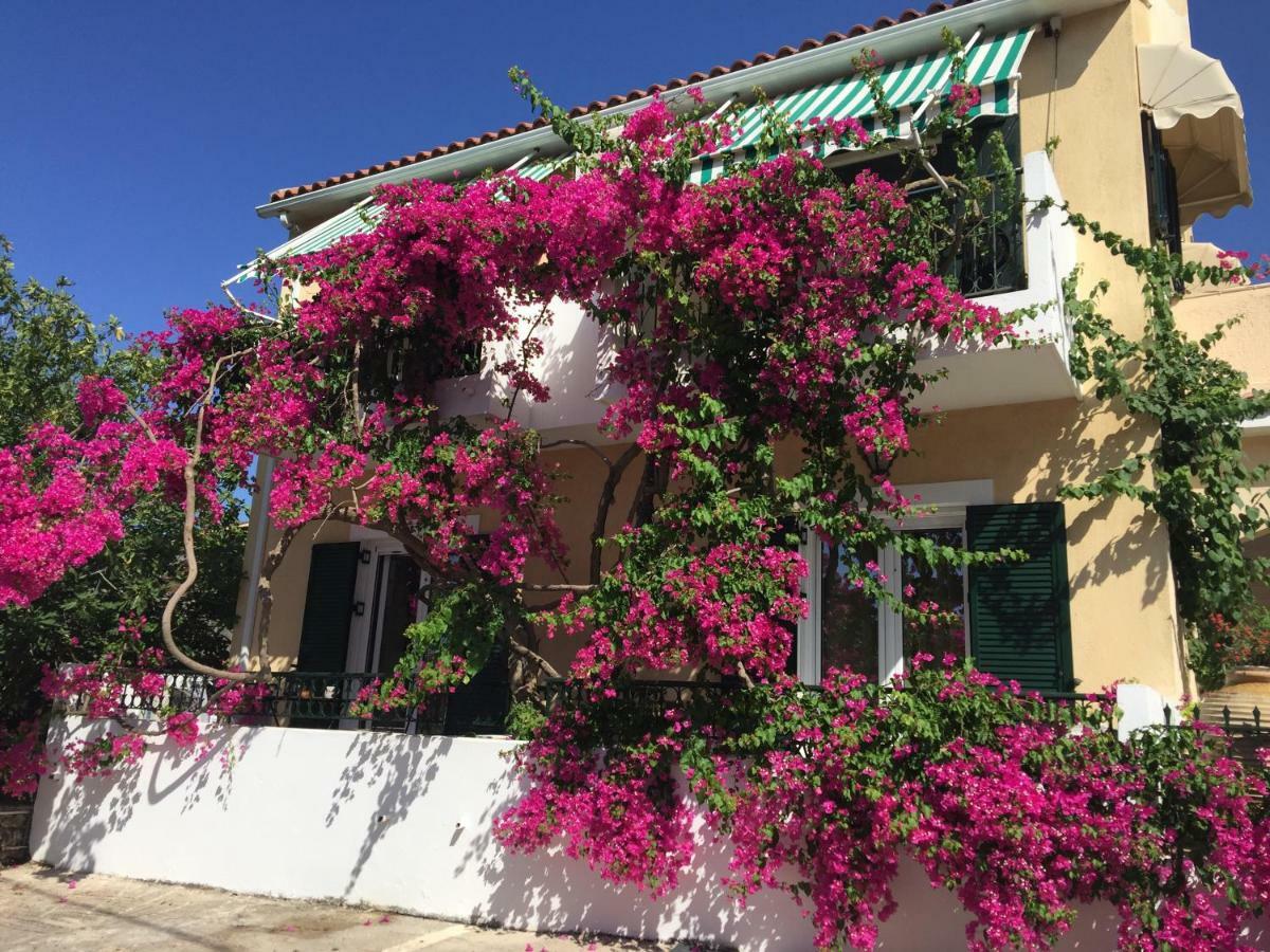 Casa Buganvilla Minia المظهر الخارجي الصورة