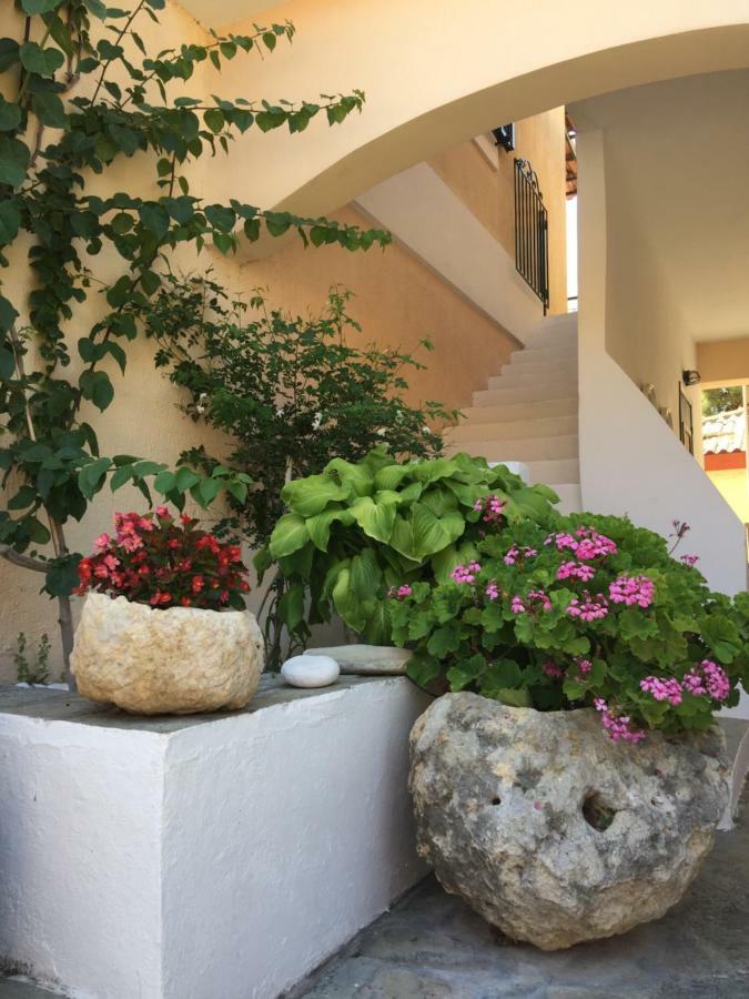 Casa Buganvilla Minia المظهر الخارجي الصورة